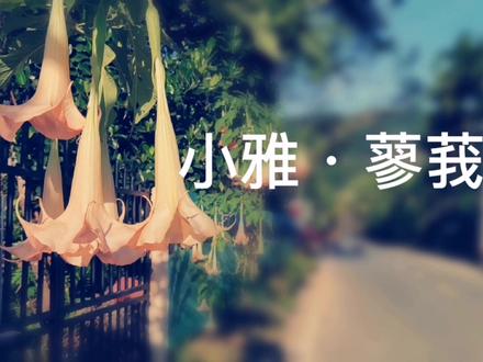 朗读《诗经•小雅•谷风之什·蓼莪》