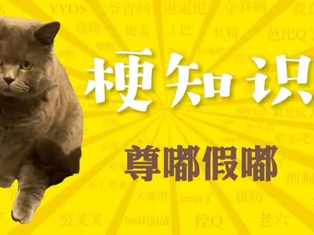 "《尊嘟假嘟》是什么梗?"#尊嘟假嘟 #万恶之源 #梗知识 #尊嘟假嘟是什么梗