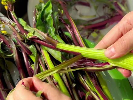 姐妹们,红菜苔真的需要把皮都撕的干干净净吗#红菜苔 #红菜苔家常做法 #一日三餐人间烟火 #年夜饭菜单提前曝光了 #在家做美食