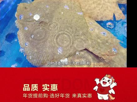 兴城多宝鱼,一个标签,一份承诺#真实惠#多宝鱼