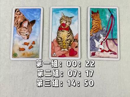 你们后续的一个发展会是如何#感情#塔罗测试