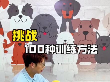 学会这一招,狗狗妖娆的身姿就完美展现出来了啦#训犬#狗狗匍匐前进 #保定训犬师安童 #上门训犬#拉布拉多