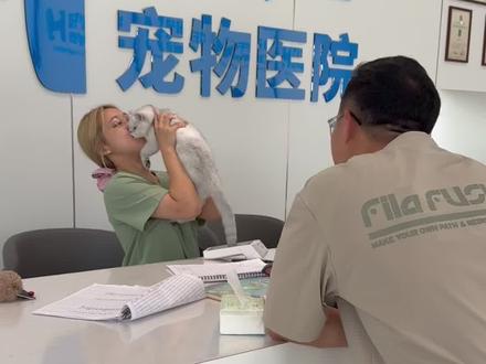 从夯到拉,12种吸猫行为#养宠从夯到拉挑战#我和它的365件小事#万物可爱计划