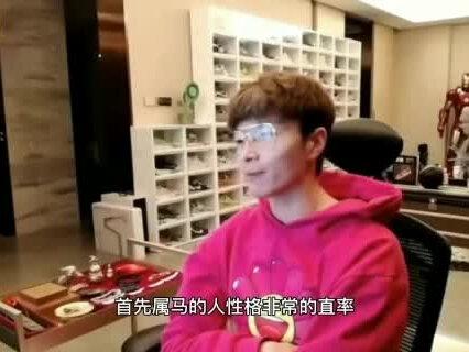 十二生肖之马,性格绝对刚刚的!#生肖文化 #传统文化#帝师