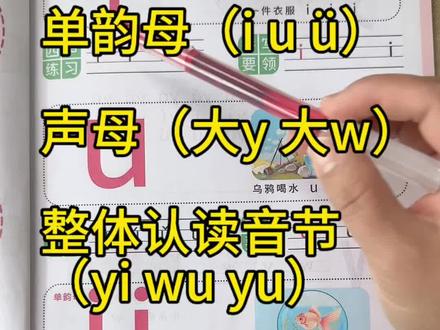 幼小衔接中单韵母(i u ü),声母(大y 大w)
整体认读音节(yi wu yu)的正确读音#拼音 #拼音拼读 #幼小衔接 #大班
