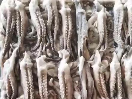 章鱼须和鱿鱼须的区别是什么?#商家号战疫行动 #脆口章鱼须 #冻品批发#海霸王西部食品物流园区