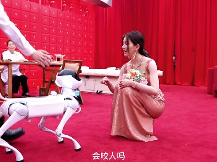 可露丽永远💜赵露思#赵露思星光大赏内场 #赵露思