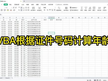 根据证件号码计算周岁、虚岁、教育年龄(vba) #vba教程