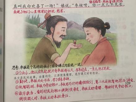 #三年级下册语文 三年级下册《枣核》