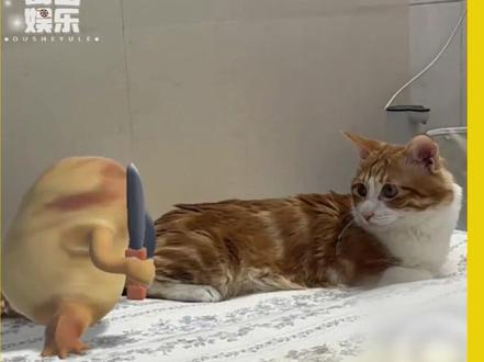 我嘴个杀意感知!这到底是啥原理 #万万没想到 #猫猫 #娱乐评论大赏