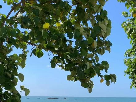 新加坡马六甲海峡可以看到太平洋,这里也可以