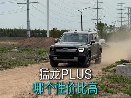 哈弗猛龙PLUS买哪款