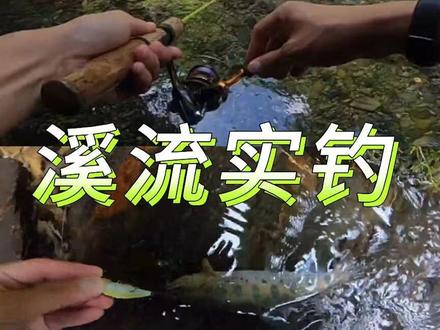 SMITH史密斯 低音速 沉水米诺 讲解 实钓
#路亚 #史密斯路亚饵 #钓鱼 #渔具 #假饵