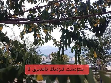 student hez 1 #哈萨克故事 #民间故事