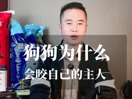 狗狗为什么会咬自己的主人 #养狗经分享 #科学养宠攻略 #新手养狗#狗狗