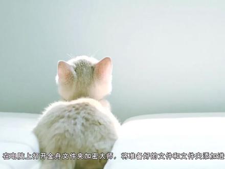 怎么给电脑中的文件或文件夹加密?—江下办公 #文件加密 #文件夹加密