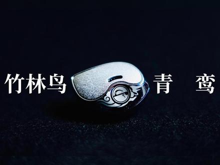 居然是200元价位中最好的高频表现?!| 竹林鸟 青鸾 有线HIFI耳机开箱评测 | 云试听对比:兴戈EW200、AKG N5005 #竹林鸟耳机 #兴戈耳机 #AKG