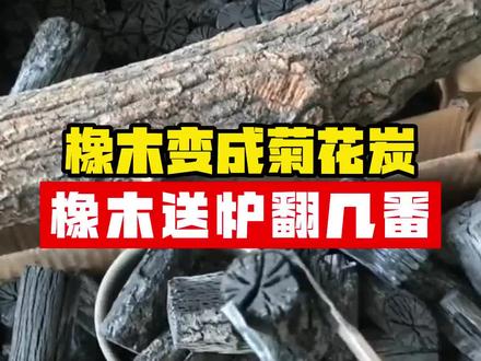 什么是菊花碳?#卧式炭化炉 #原木炭化炉 #源头实力厂家 #烧烤炭设备