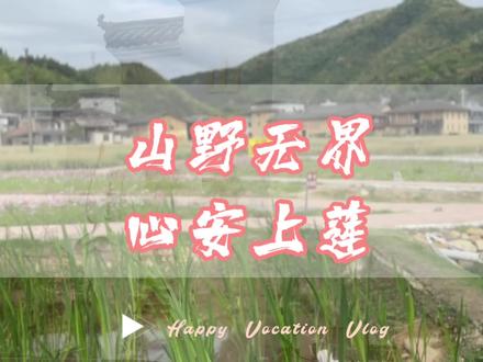 如果遇见心上人太难,那就来遇见心上莲吧#感受大自然的气息和美景 #亲子游玩好去处 #隐藏在大山里的世外桃源#福州小众景点 #宣传家乡旅游文化 @新闽清 @DOU+小助手