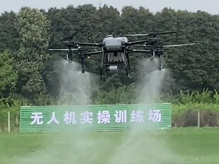 #大疆植保无人机 T25四喷头试试效果~#新农人计划2023 #病虫害防治