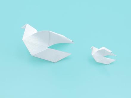 【折纸】明目张胆地鸽一期,愿2022世界和平