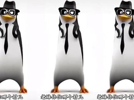 年会企鹅跳舞串烧,搞笑视频背景#企鹅跳舞#年会舞蹈#搞笑视频背景 年会跳这个好玩👍
