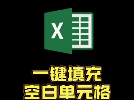 一键填充空白表格 #excel技巧 #办公效率提升 #excel实用小技巧 #职场技能学习 #数据处理小妙招