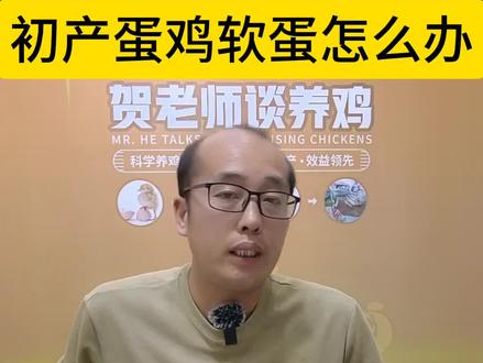 初产蛋鸡下软蛋,次品蛋#养殖