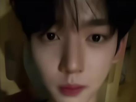 #韩维辰 #zb1 我们绿茶十级🍵😏