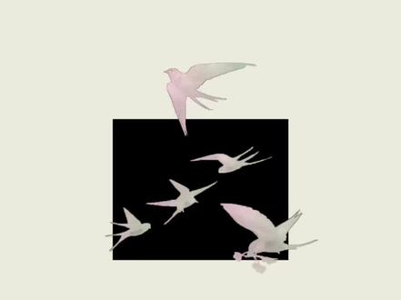 我今晚特别想教别人剪辑😂😂😂#blurrr#教程#小说剪辑