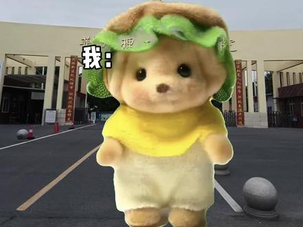 荆州理工职业学院即将开学#大学 #开学