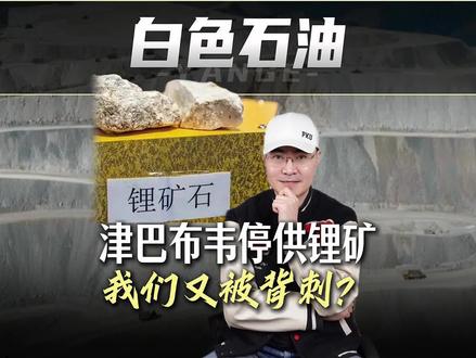 锂矿暗战 津巴布韦停供锂矿 我们又被背刺吗? #零基础看懂全球 #全球创作者计划 #春节世界观察 #新年囤点专业货