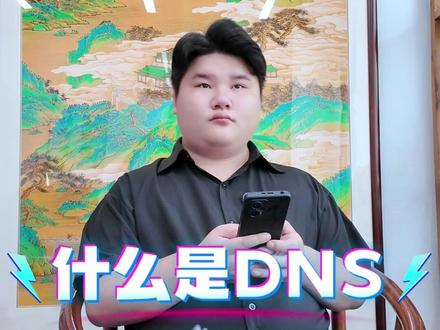 什么是DNS? #运维 #网工 #计算机专业 #大专生就业 #00后找工作