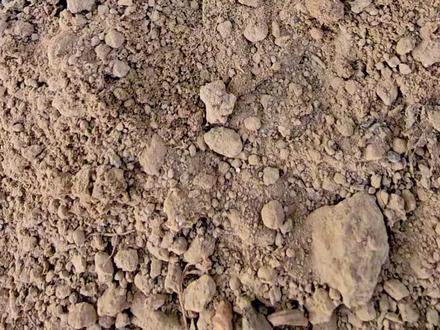 国产积木拼搭:中华龙#恐龙 #中华龙 #积木 #乐高