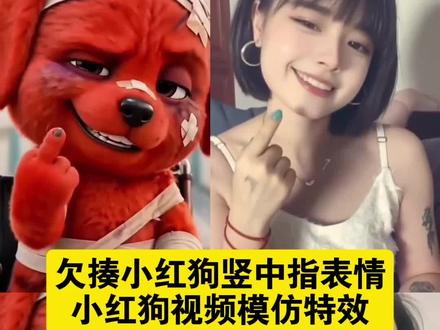 reddog红狗模仿视频教程 reddog红狗表情包制作教程 reddog红狗动态壁纸 reddog红狗原视频 reddog红狗表情包 reddog红狗出处 reddog红狗梗 同框模仿小红狗 模仿小红狗竖中指原视频 红色小狗出处 红狗原视频 红狗表情包 红色小狗竖手指 桀骜不驯小红狗 红色小狗挨打片段原视频 红狗竖中指原视频 红狗竖中指搞笑版 红色小狗竖中指表情包 红色小狗竖中指被暴揍表情包 红色小狗鄙视挑衅表情包 红色小狗表情包动图 红色小狗动态壁纸制作 轮椅小红狗动态图 小红狗表情包素材 #reddog红狗模仿 #reddog红狗表情包 #小云雀AI #小云雀AI一镜到底 #小云雀AI视频