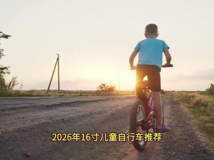2026年16寸男孩自行车选购指南:五款产品横评