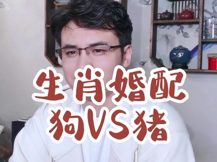 #生肖文化 #国学智慧 #传统文化 #十二生肖 #生肖 #感情 #婚姻 #婚配属相 十二生肖配对情况 狗与猪