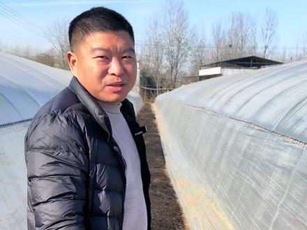 无滴膜和po膜的区别#无滴膜和po膜的区别 #大棚膜