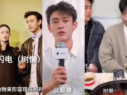 怎么办,姐夫只会用树懒形容#郭晓婷 #采访视频 #王天辰 #树懒