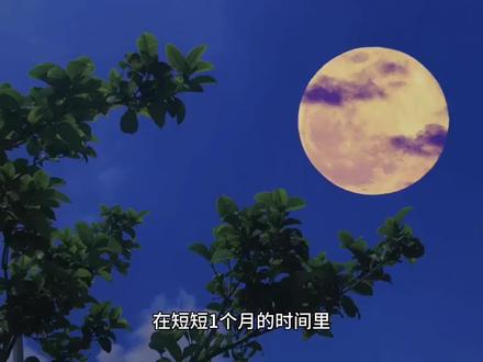 美国版“知乎”赚国内财富:从Quora到国内视频网站月入10万?