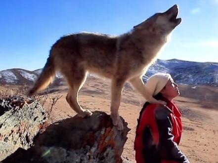 以女性的力量,还格林一生自由与尊严#李微漪 #格林