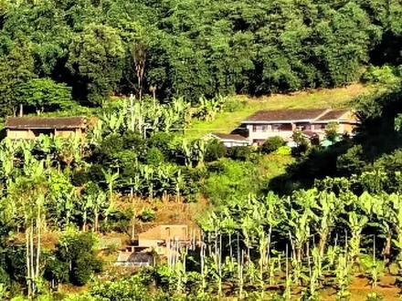 闽南俗语(合集)#原创视频