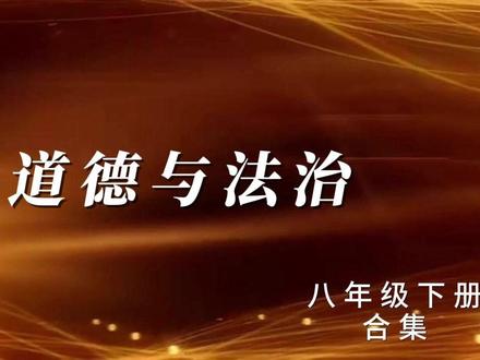 中考道德与法治八年级下册知识点合集