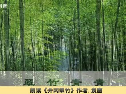 初中读过的课文《井冈翠竹》,致我们这一代人逝去的青春!😝