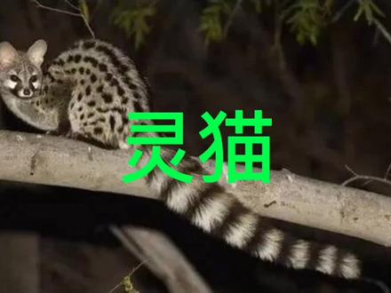 #民间故事#鬼故事#惊悚#故事会@抖音小助手