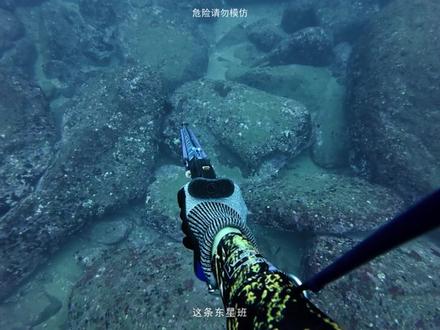 渔猎遭遇鲨鱼 好汉和丧彪相约渔猎遭遇鲨鱼,看他们是如何应对的?#自由潜水 #渔猎