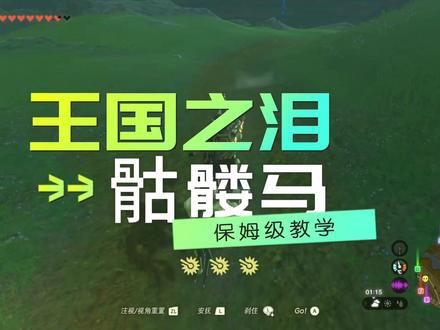 #游戏日常分享 #塞尔达王国之泪
骷髅马获取方式