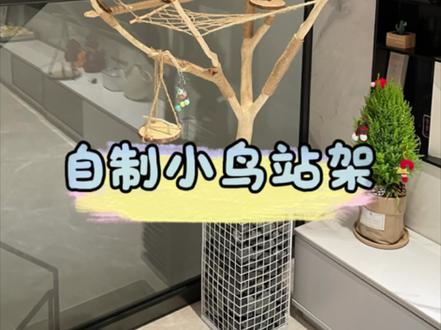 灰扑扑的新房子🏠,自制鹦鹉站架,一看就会,#鹦鹉站架 #自制小鸟站架 #鹦鹉日常 #牡丹鹦鹉幼鸟