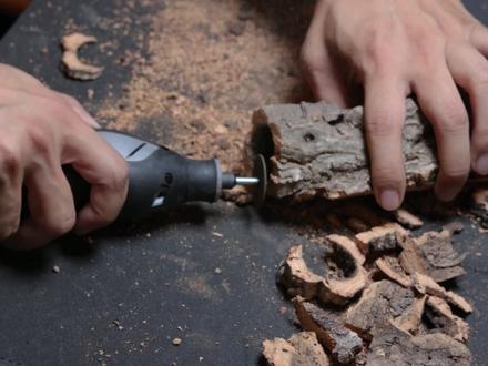 玻璃瓶中的爬宠造景 #生态微景观 #爬宠饲养日常 #生态瓶 #生态瓶制作