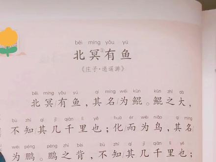 《北冥有鱼》北冥有鱼,其名为锟,锟之大,不知其几千里也#国学经典 #国学 #好书分享